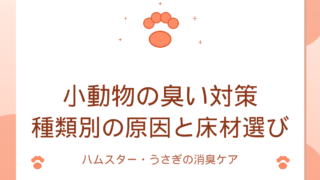 小動物の臭い対策｜種類別の原因と床材選びのアイキャッチ