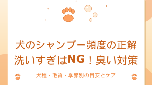 犬のシャンプー頻度はどれくらい？洗いすぎNGの臭い対策ガイド