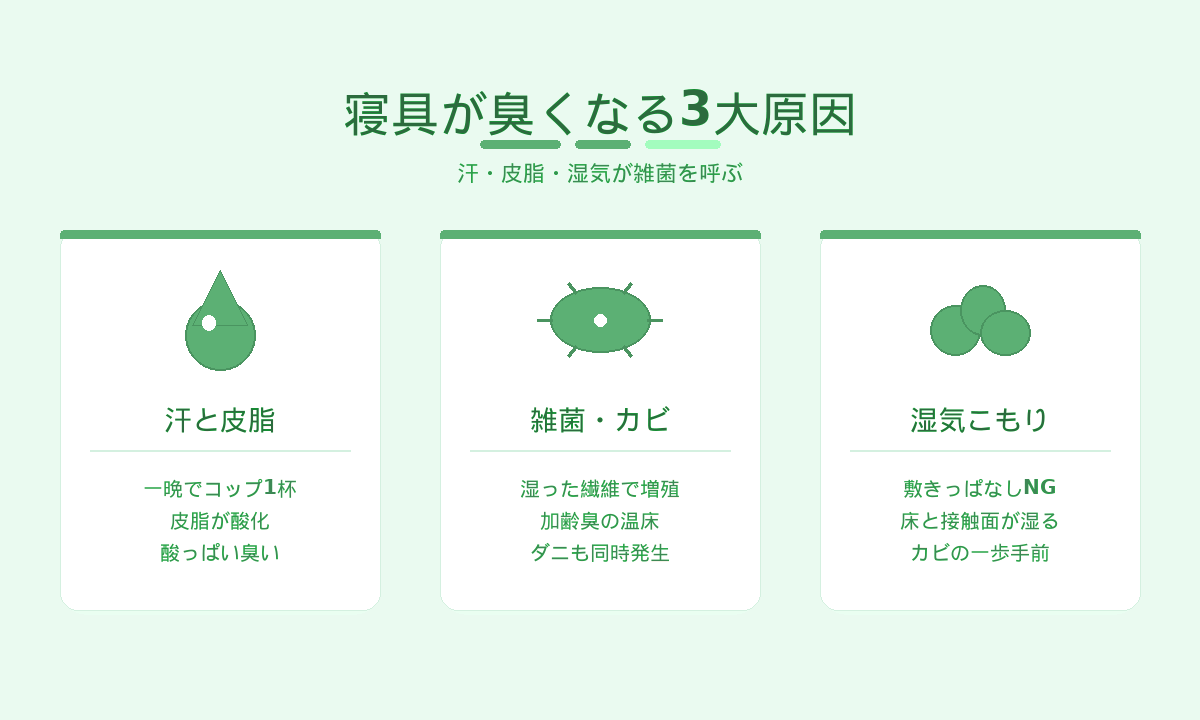 寝具が臭くなる3大原因｜汗と皮脂・雑菌とカビ・湿気こもりのトリプル要因