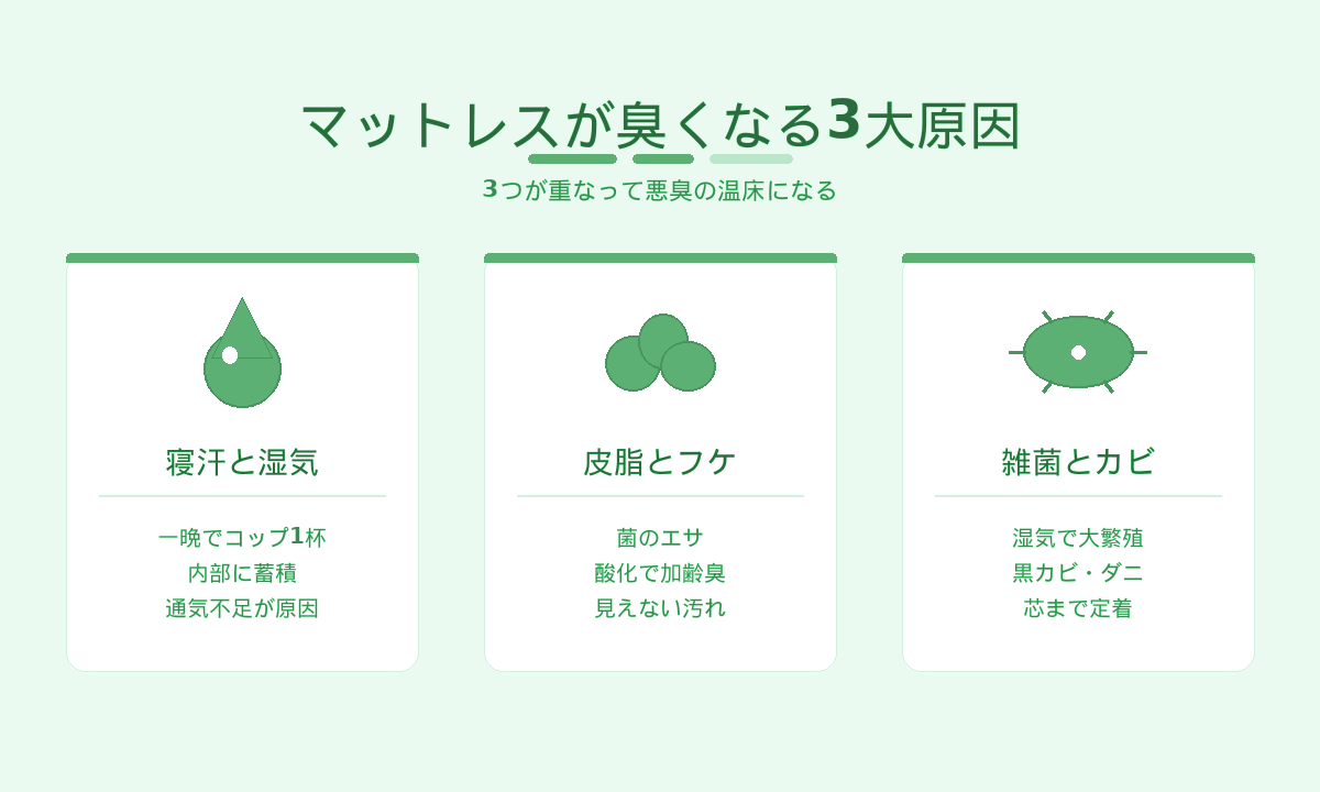 マットレスが臭くなる3大原因｜寝汗と湿気・皮脂とフケ・雑菌とカビが重なって悪臭の温床になる