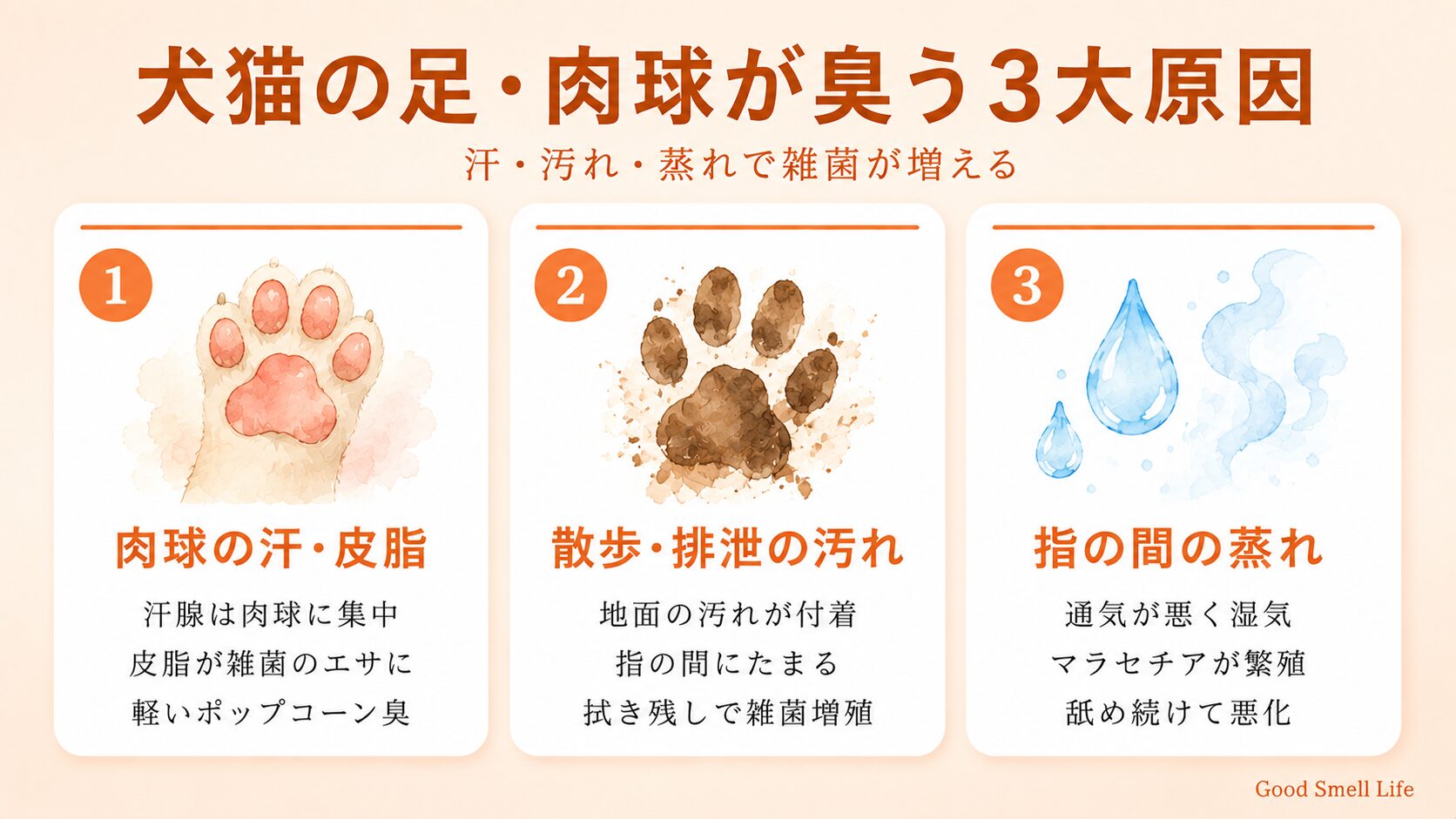 犬猫の足・肉球が臭う3大原因｜肉球の汗と皮脂・散歩や排泄の汚れ・指の間の蒸れと雑菌