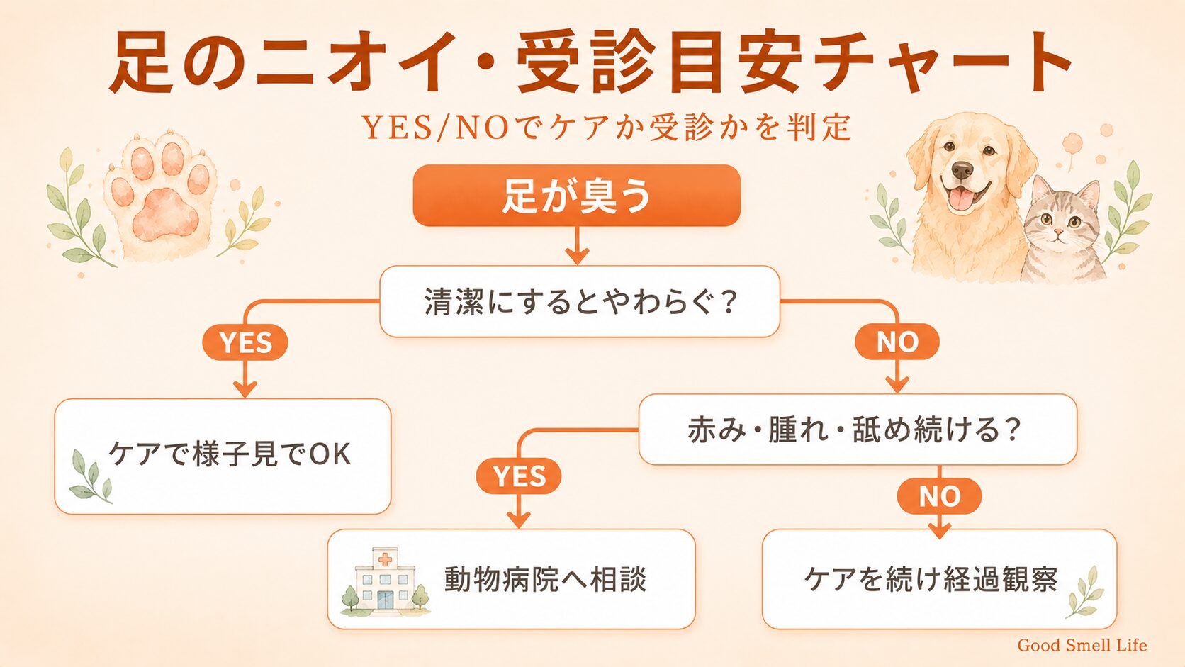 ペットの足のニオイ受診目安チャート｜清潔でやわらぐか赤みや腫れの有無でケアか受診か判定