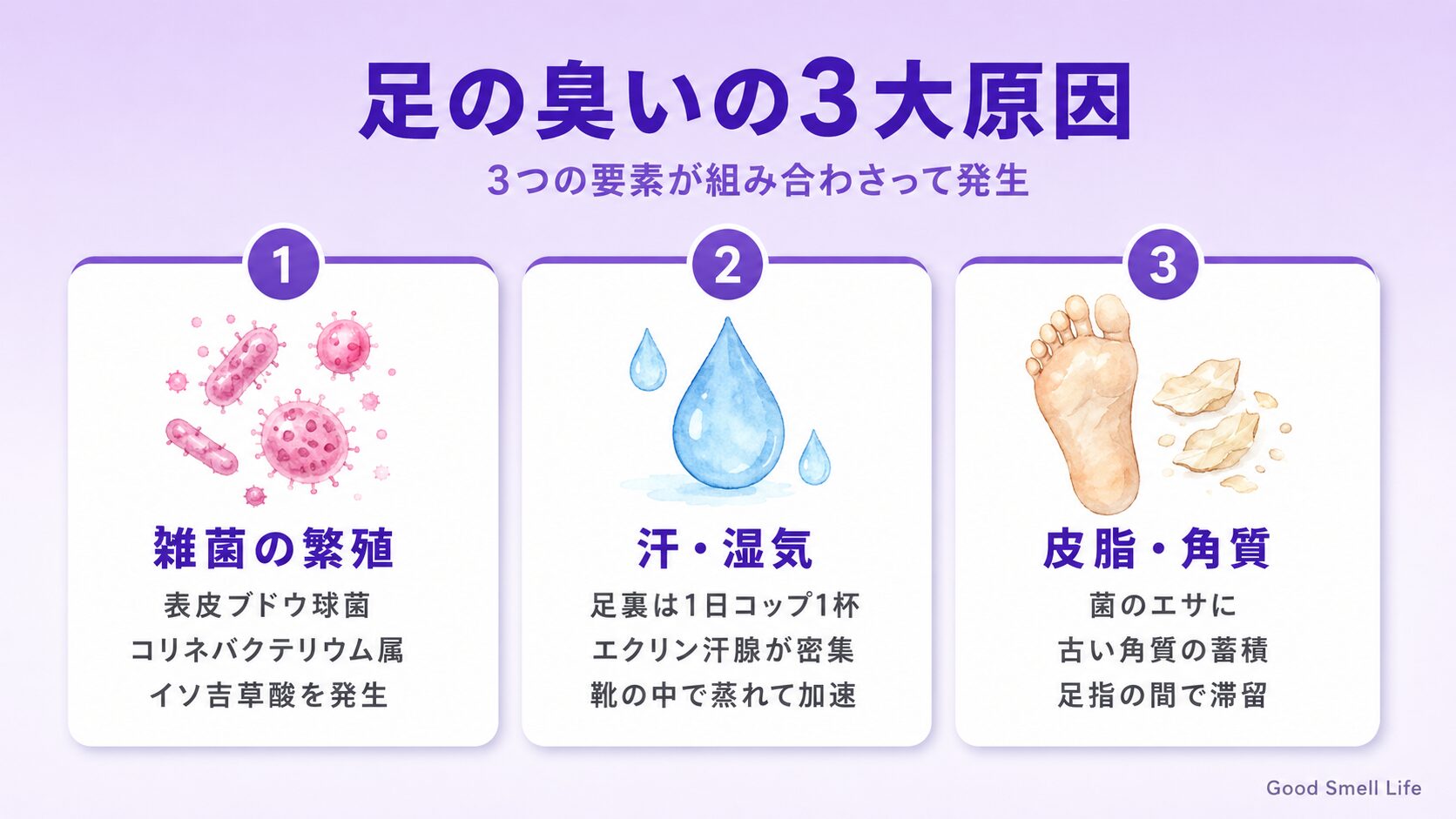足の臭いの3大原因｜雑菌の繁殖・汗と湿気・皮脂と角質が組み合わさるメカニズム