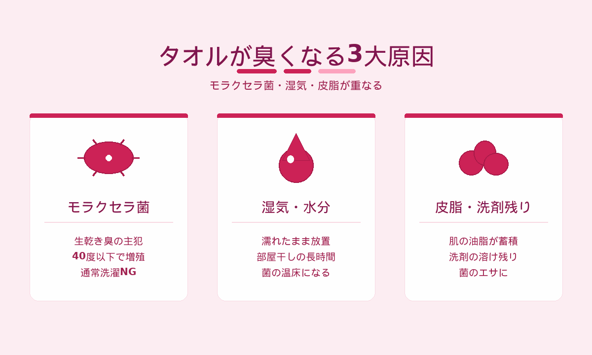 タオルが臭くなる3大原因｜モラクセラ菌・湿気・皮脂が重なる仕組み