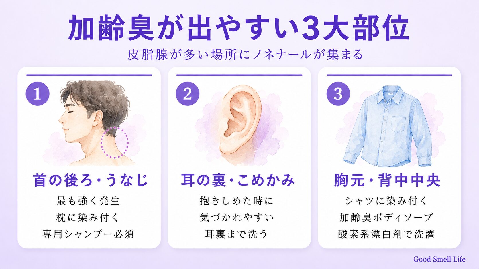加齢臭が出やすい3大部位｜首の後ろ・耳の裏・胸元と背中中央の皮脂腺が多い場所