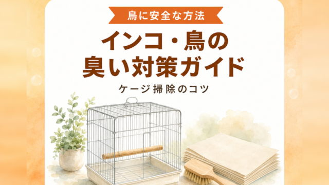インコ・鳥の臭い対策ガイド｜ケージ掃除のコツ