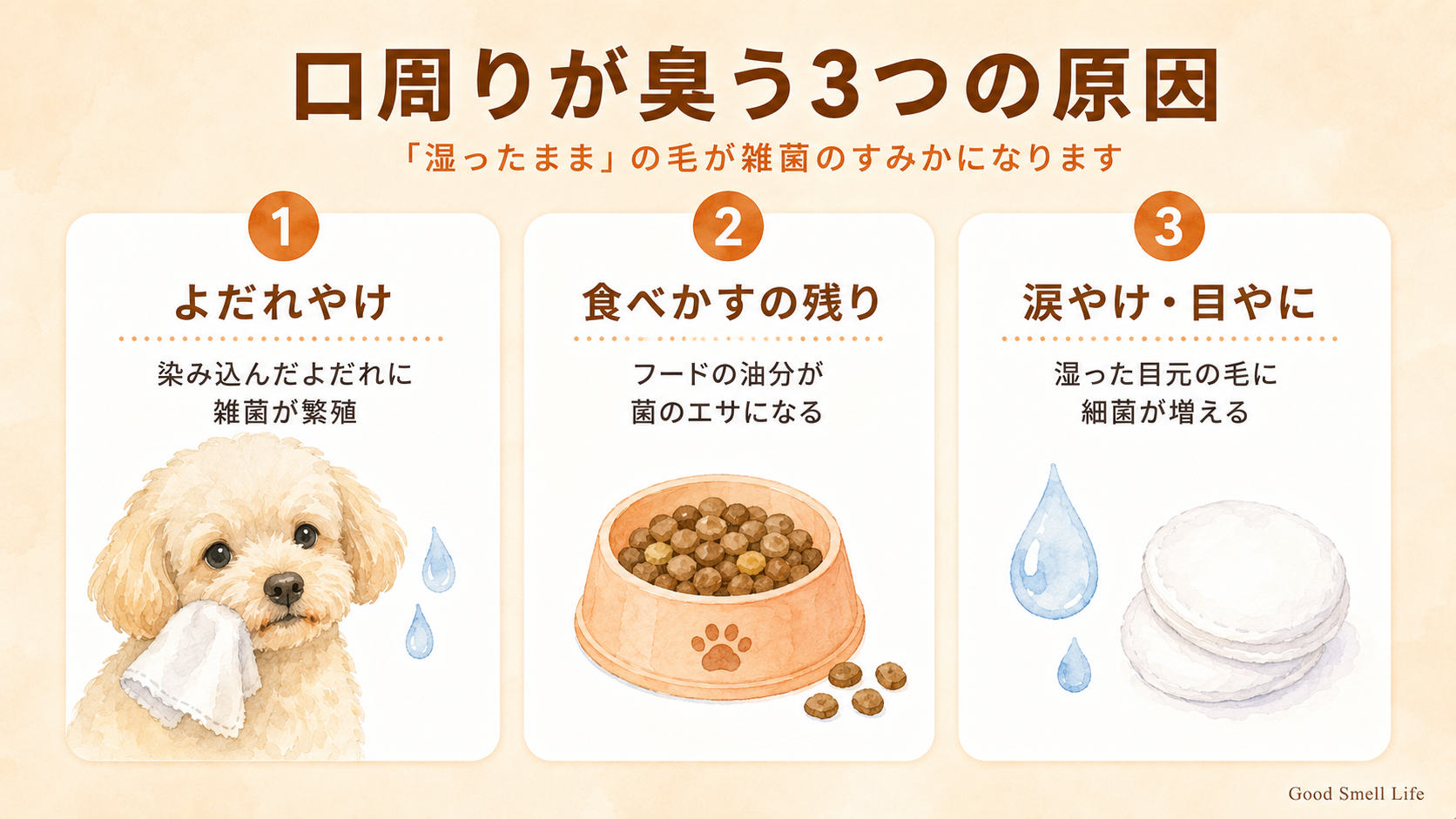 犬の口周りが臭う3つの原因(よだれやけ・食べかす・涙やけ)を示すインフォグラフィック
