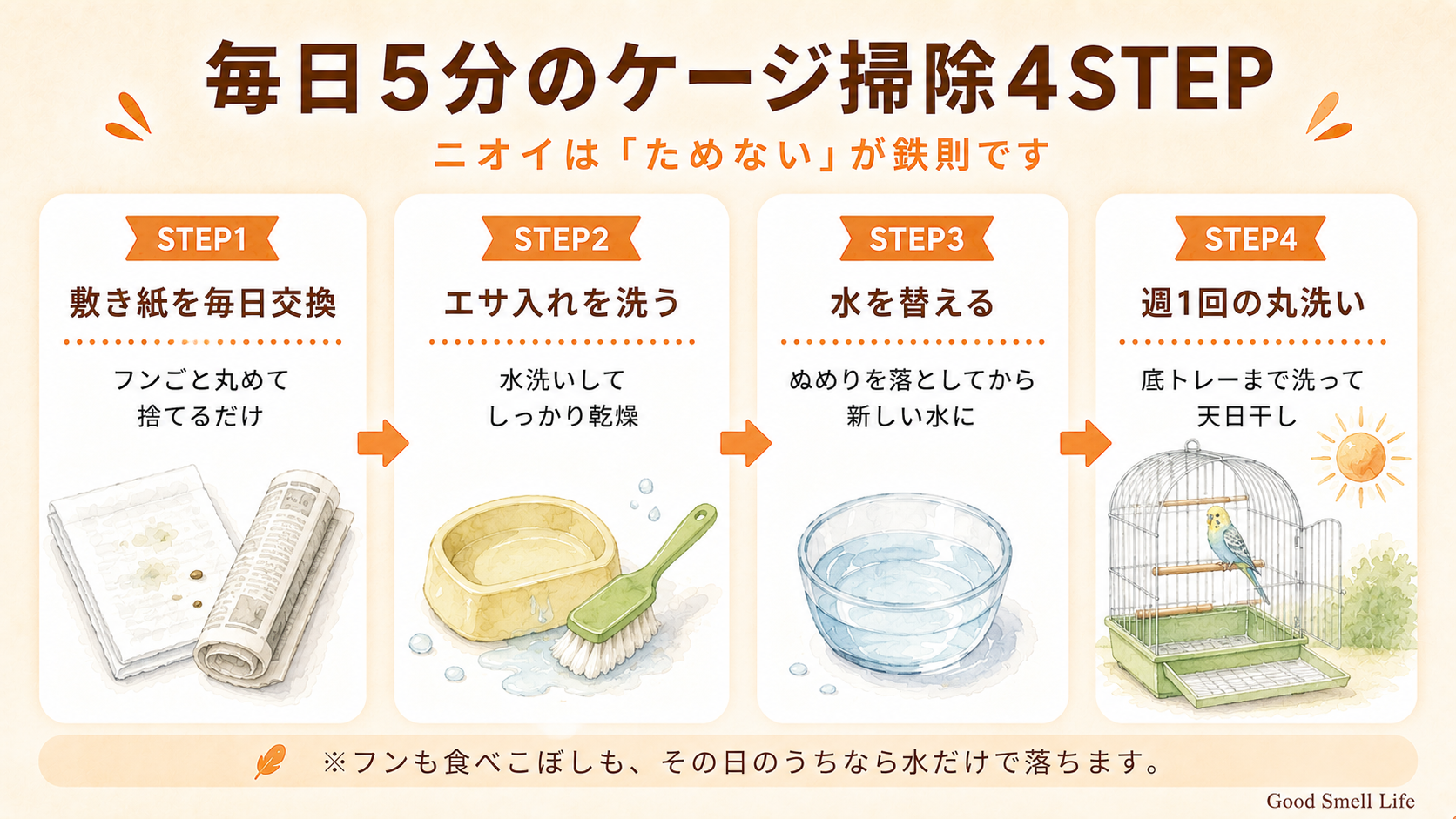 毎日5分のケージ掃除4STEPを示すインフォグラフィック